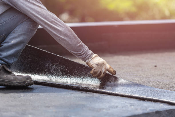 Professional Interior Drainage System technician working in La Center, WA